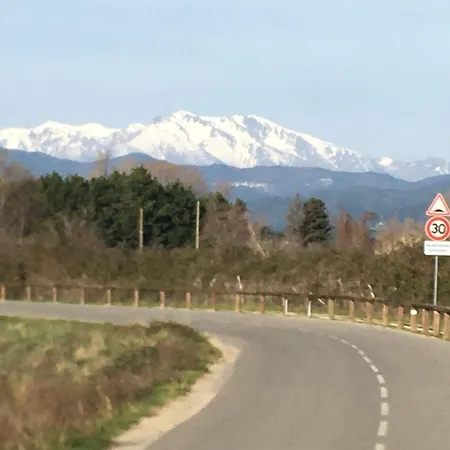 App. 2 P Design Zen Vue N182 * Linguizzetta