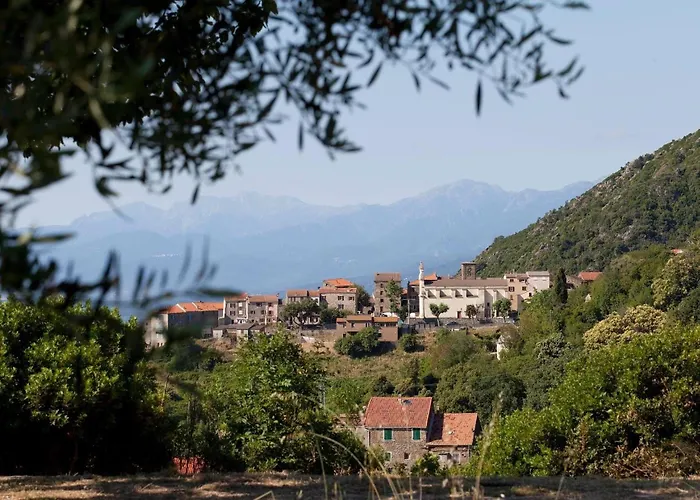 App. 2 P Design Zen Vue N182 * Linguizzetta