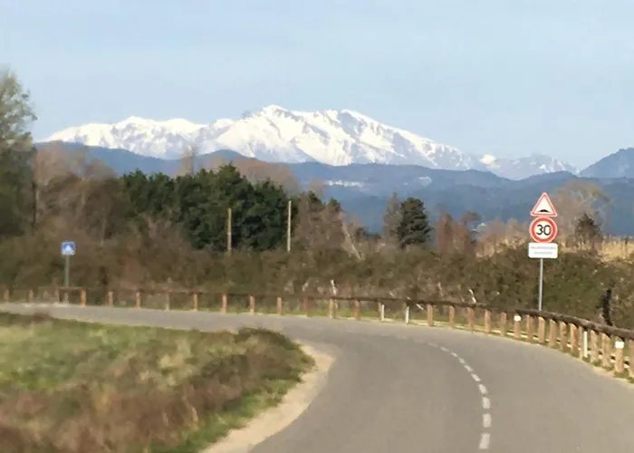 App. 2 P Design Zen Vue N182 * Linguizzetta