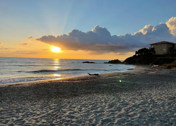 App. 2 P Design Zen Vue N182 *