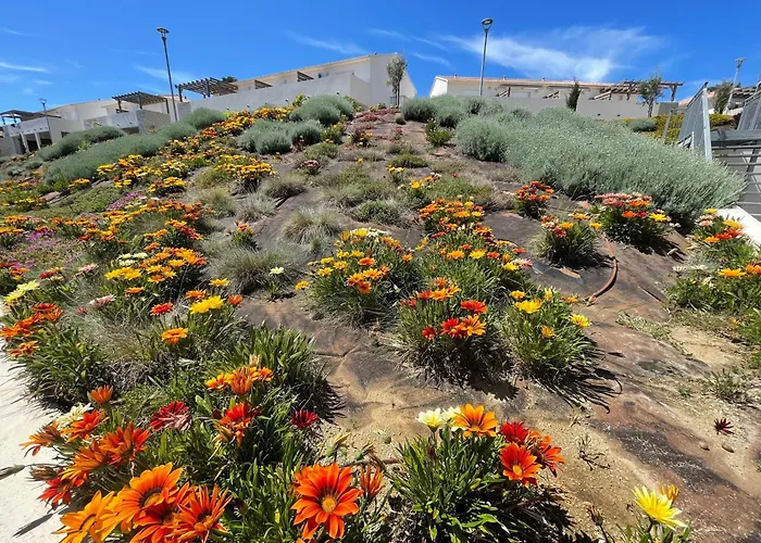 App. 2 P Design Zen Vue N182 Linguizzetta