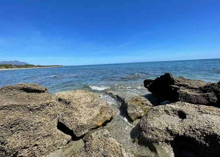 App. 2 P Design Zen Vue N182