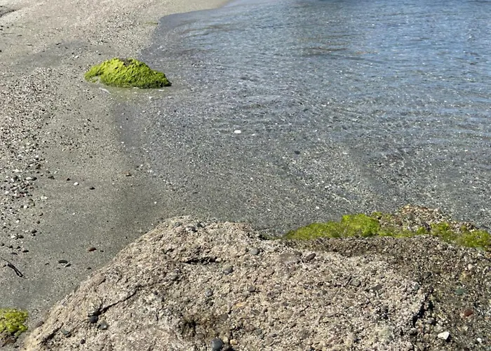 App. 2 P Design Zen Vue N182 * Linguizzetta