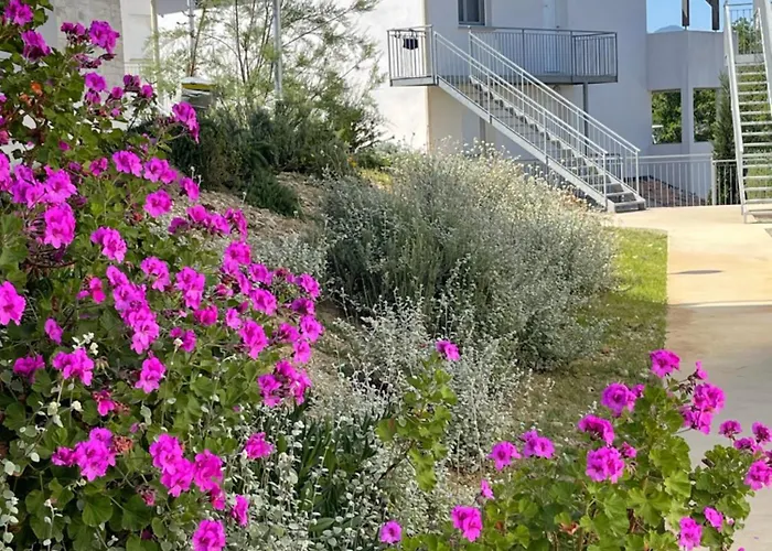 Apartmán App. 2 P Design Zen Vue N182 Linguizzetta