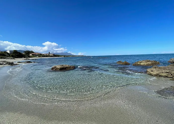 App. 2 P Design Zen Vue N182 *