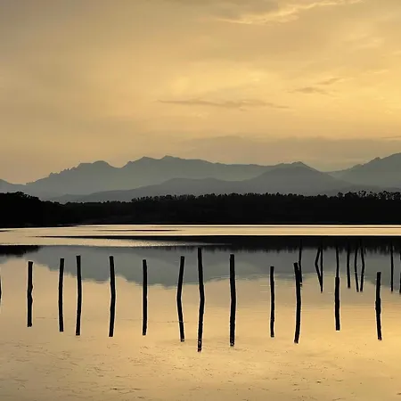 App. 2 P Design Zen Vue N182 Lejlighed *