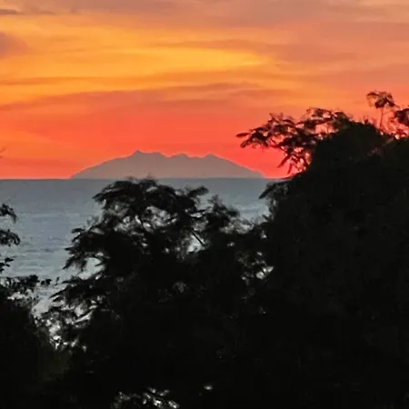 App. 2 P Design Zen Vue N182