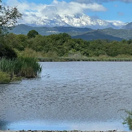 App. 2 P Design Zen Vue N182