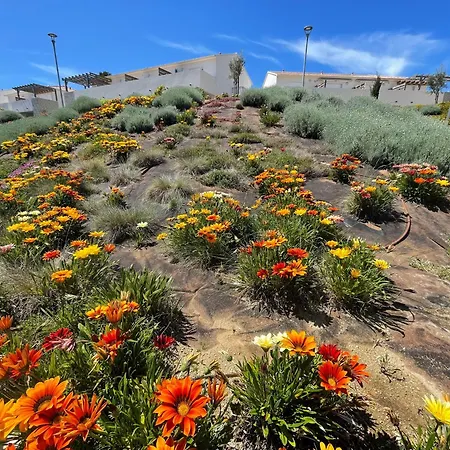 App. 2 P Design Zen Vue N182 Linguizzetta