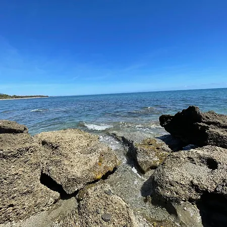 App. 2 P Design Zen Vue N182