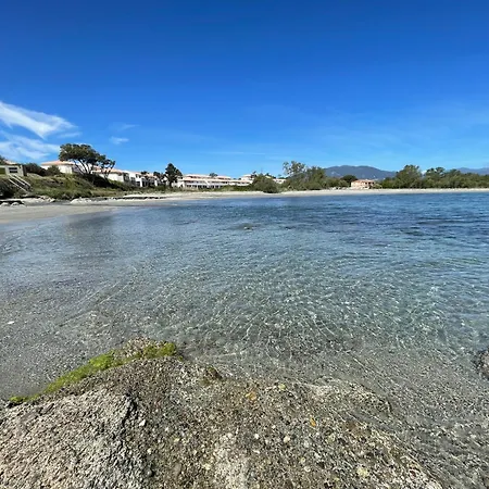 App. 2 P Design Zen Vue N182 * Linguizzetta