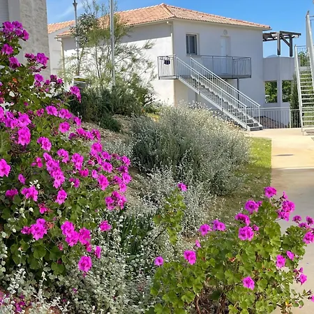 Lejlighed App. 2 P Design Zen Vue N182 Linguizzetta