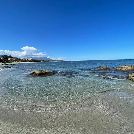 App. 2 P Design Zen Vue N182 *