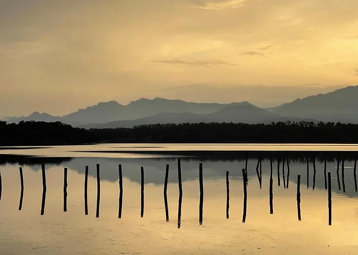 App. 2 P Design Zen Vue N182 Appartement *