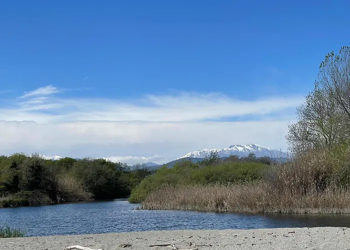 App. 2 P Design Zen Vue N182 Appartement