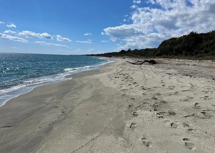 App. 2 P Design Zen Vue N182 Appartement Linguizzetta