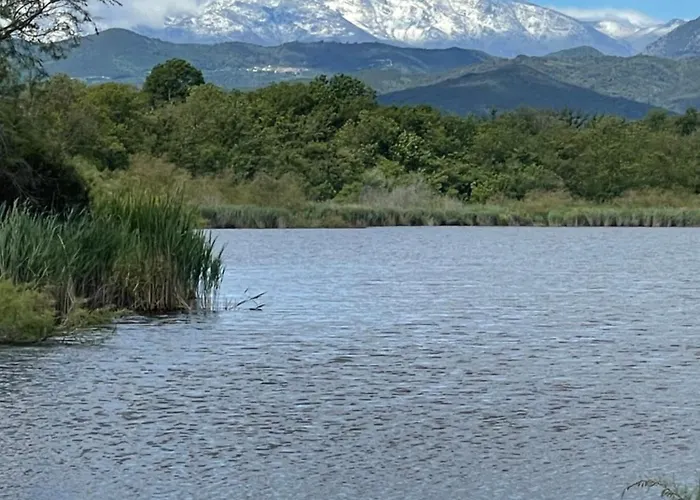 App. 2 P Design Zen Vue N182